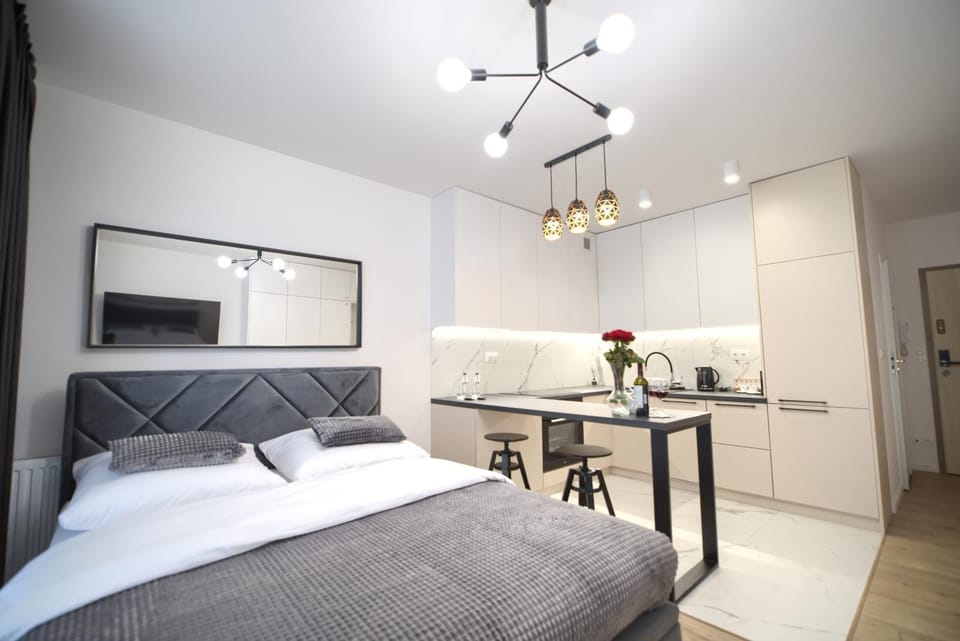 Bed, Kitchen or kitchenette, Photo of the whole room, Dining area, Bedroom