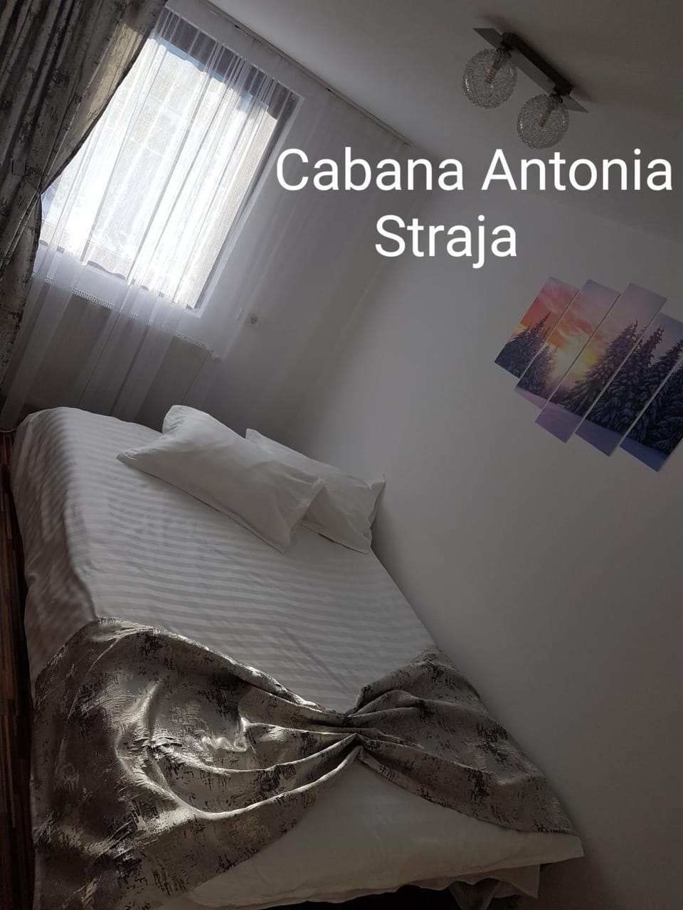 Cabana Antonia Nature lodge in Romania