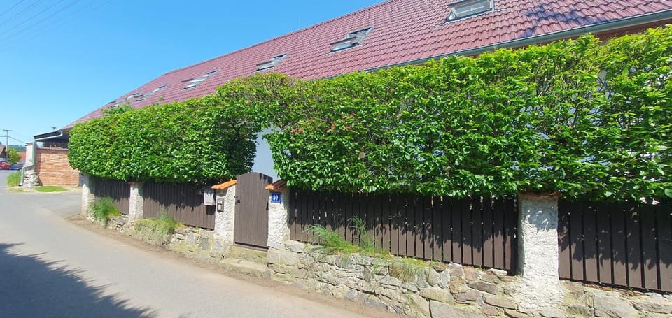 Property building, Neighbourhood, Street view