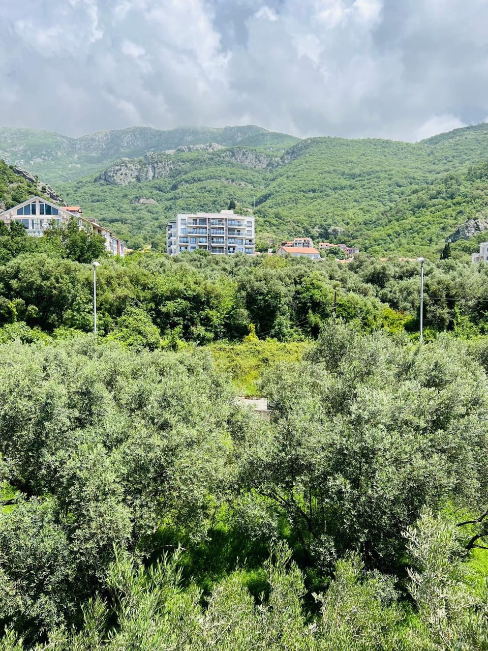 Mountain view