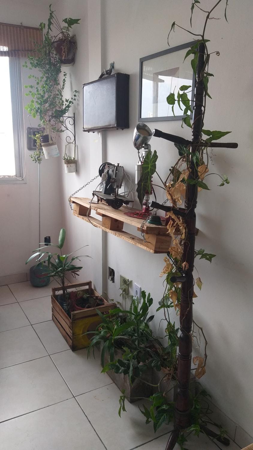 Quarto suite individual Compartilha somente a cozinha com o morador e sua cachorra Chori Vacation rental in Porto Alegre