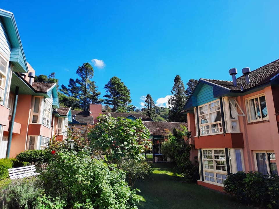 Property building, Garden, Garden view