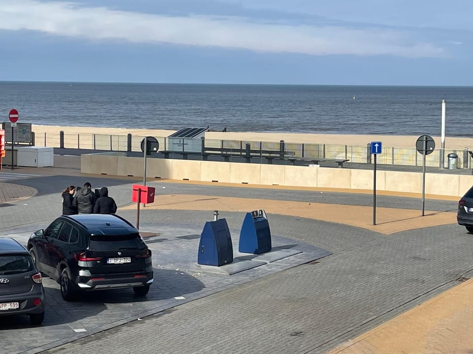 Sunny Seaview Apartment in Ostend