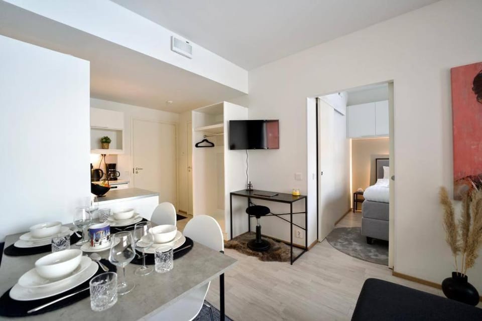 1BR Suite - King Size Bed - Wi-Fi - Sauna Apartment in Rovaniemi