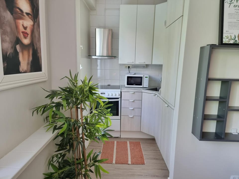 Kitchen or kitchenette, dishwasher, stove