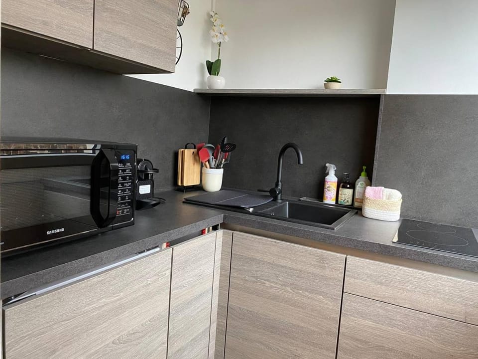 Coffee/tea facilities, Kitchen or kitchenette, minibar, stove