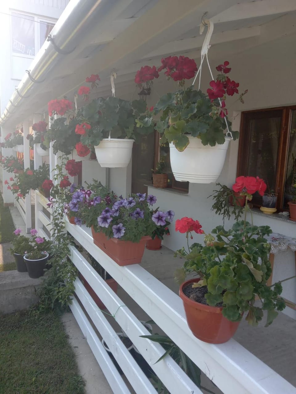 CAZARE TURISM PRISLOP Bed and Breakfast in Serbia
