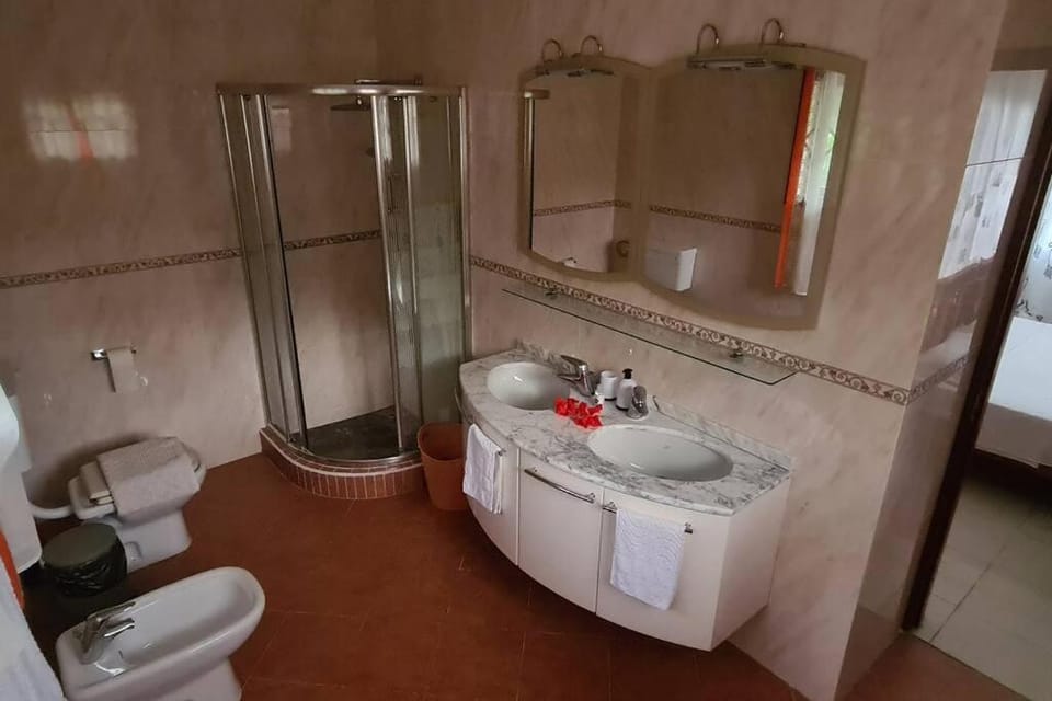 Shower, Toilet, Bathroom, bidet