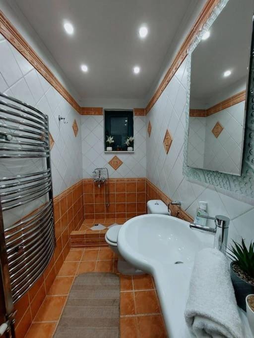 Shower, Toilet, Bathroom, towels