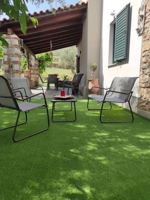 Day, Garden, Seating area, Garden view