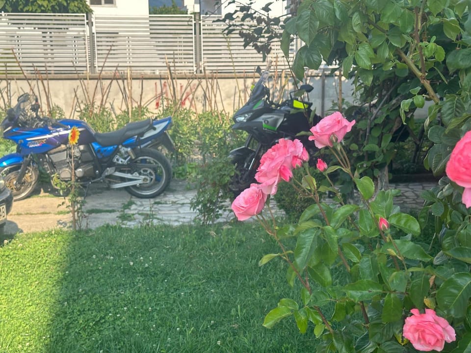 Apartman Struga Apartment in Municipality of Ohrid, North Macedonia