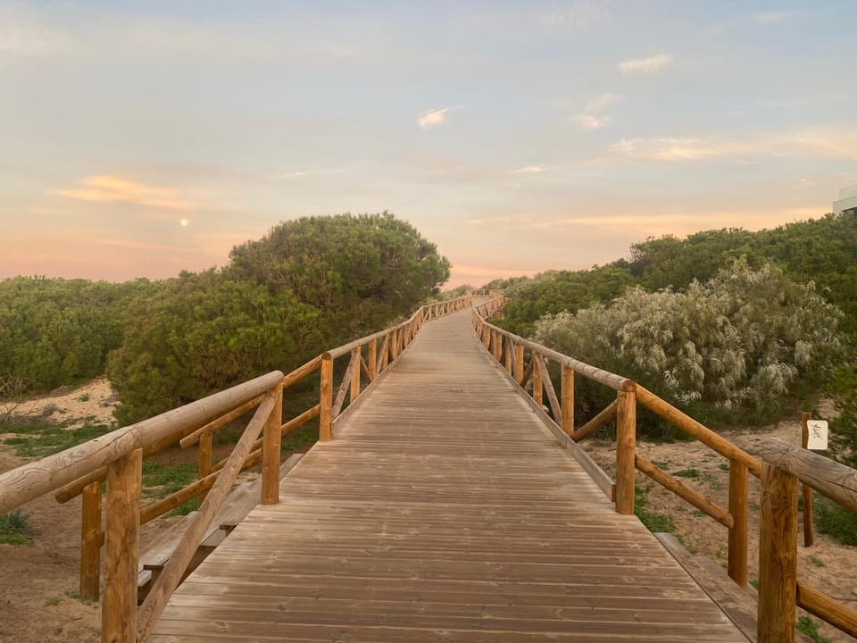 Natural landscape