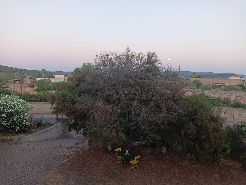 Appartamento Verdina House in Alghero