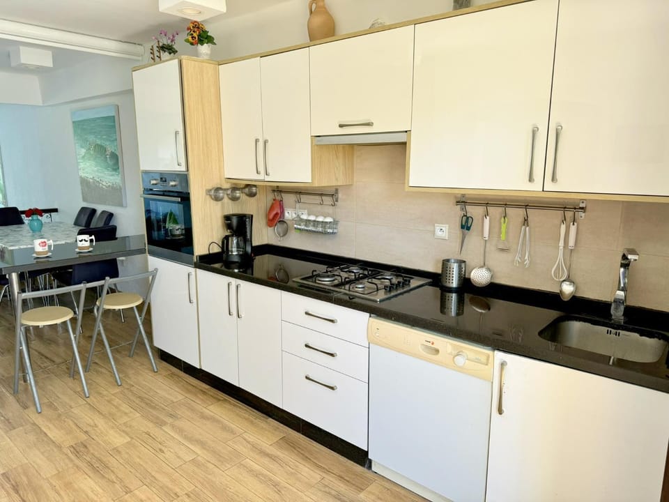 Kitchen or kitchenette, dishwasher, oven, stove