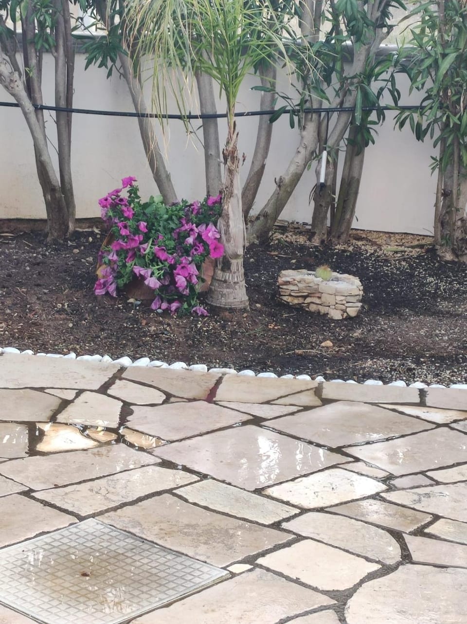 Spring, Garden, Garden view