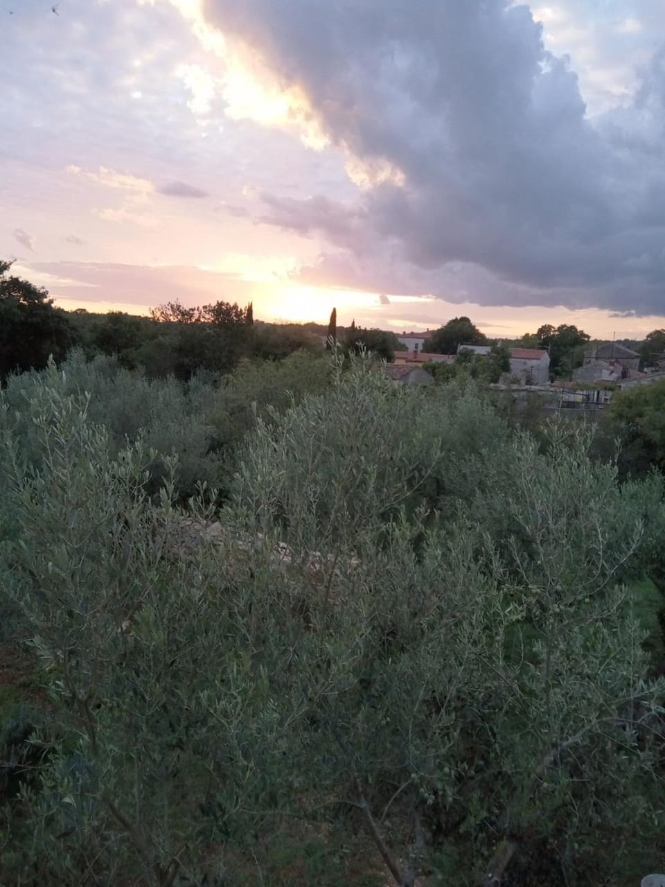 Apartman Krčina Apartment in Istria County