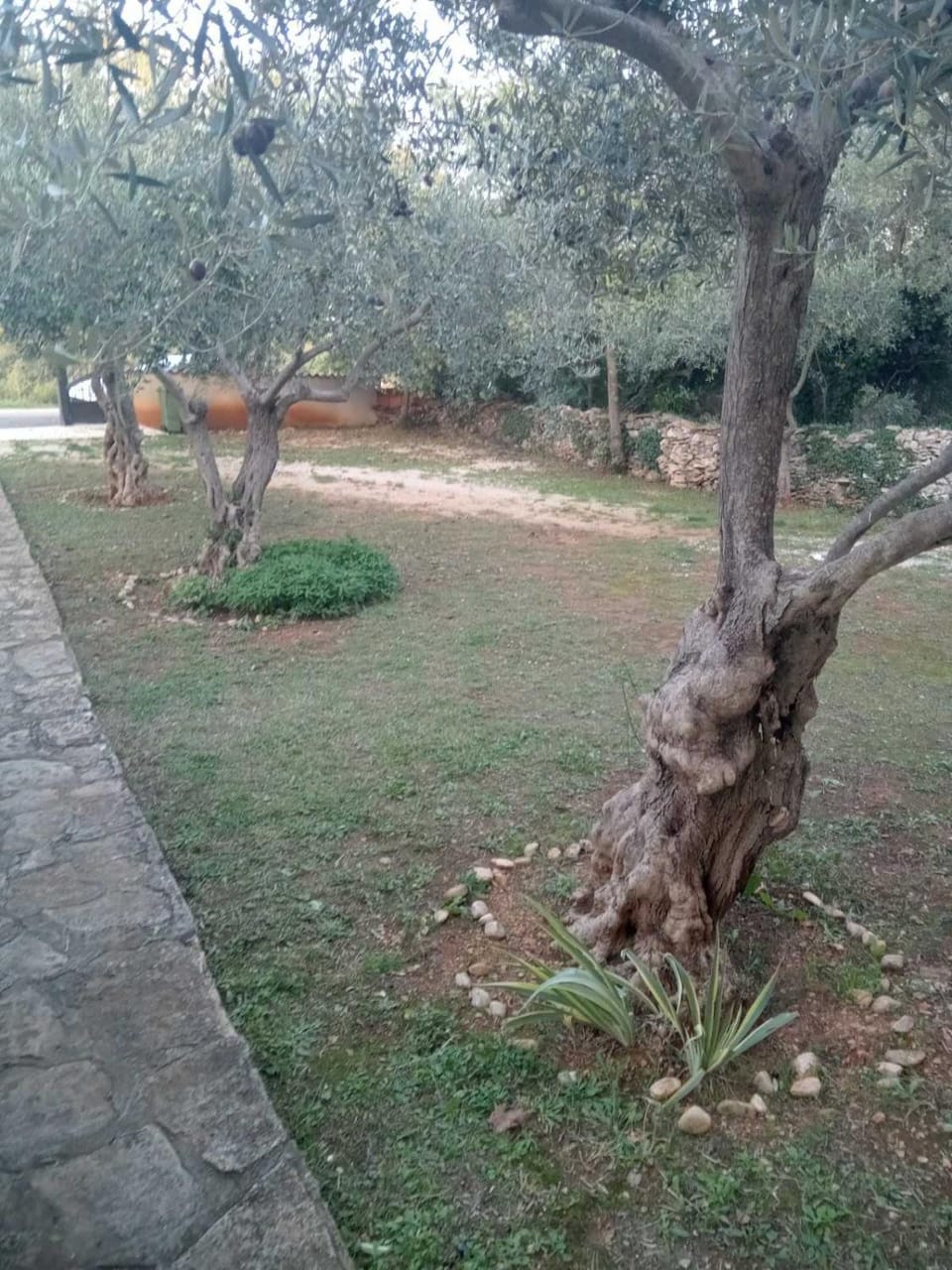 Apartman Krčina Apartment in Istria County