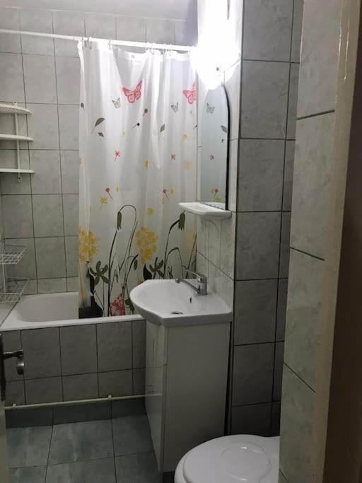 Apartament confortabil Apartment in Romania