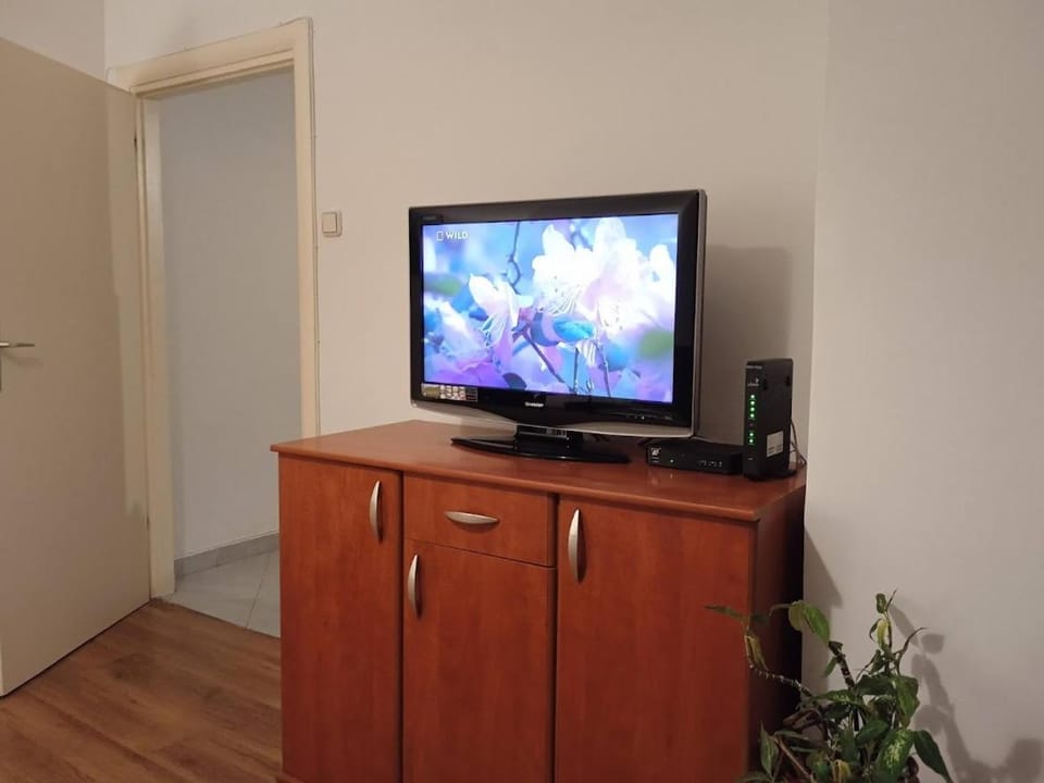 TV and multimedia