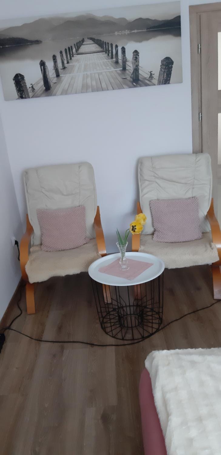Apartament u Janiny Apartment in Lower Silesian Voivodeship