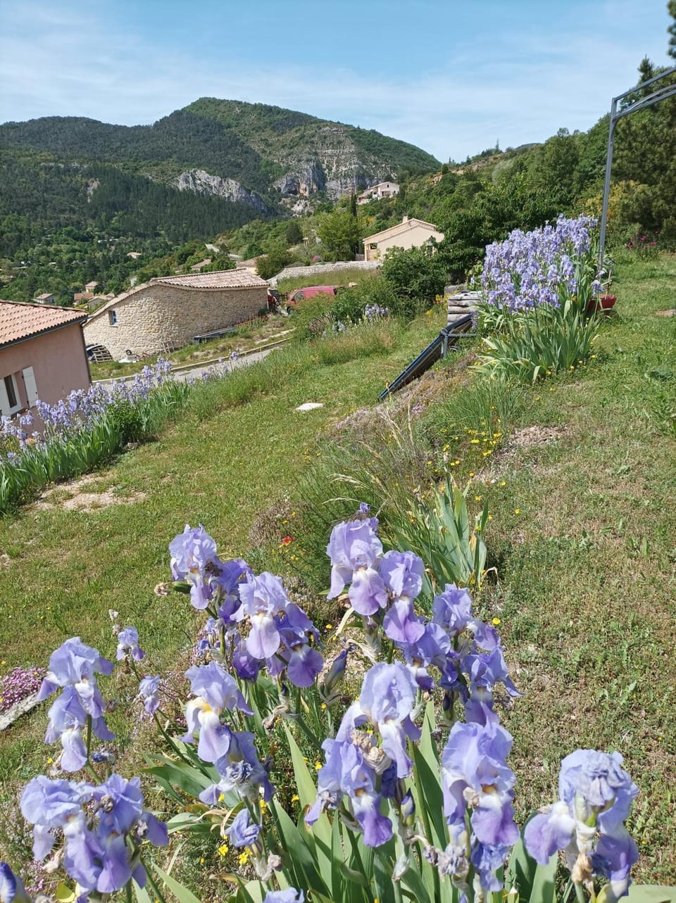 Spring, Garden