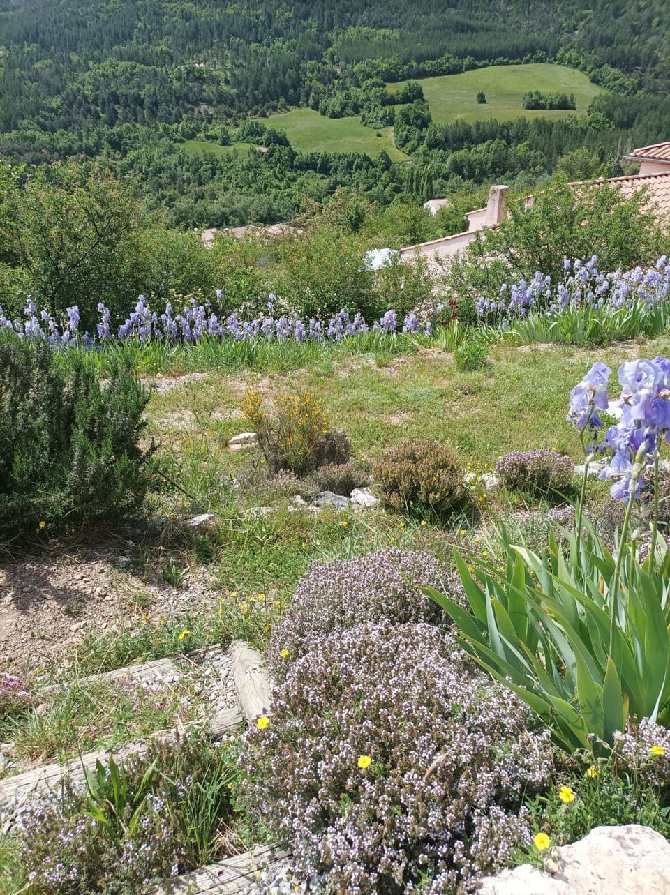 Garden, Garden view