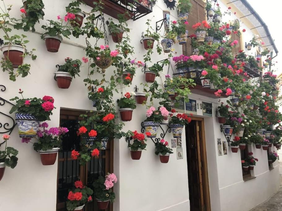 Geysotur El Templo Apartment in Cordoba