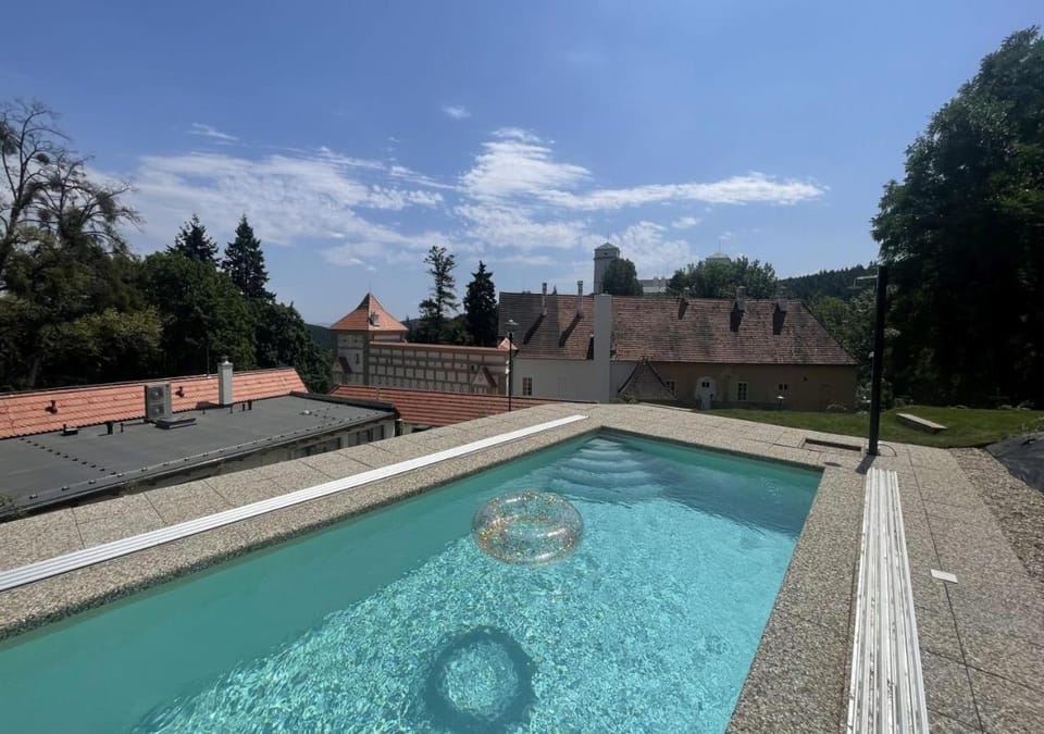 Day, Pool view, Swimming pool