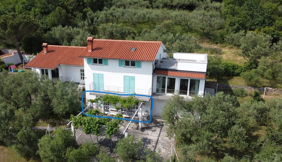 House among olive trees with a sea view 3 Apartment in Slovenia