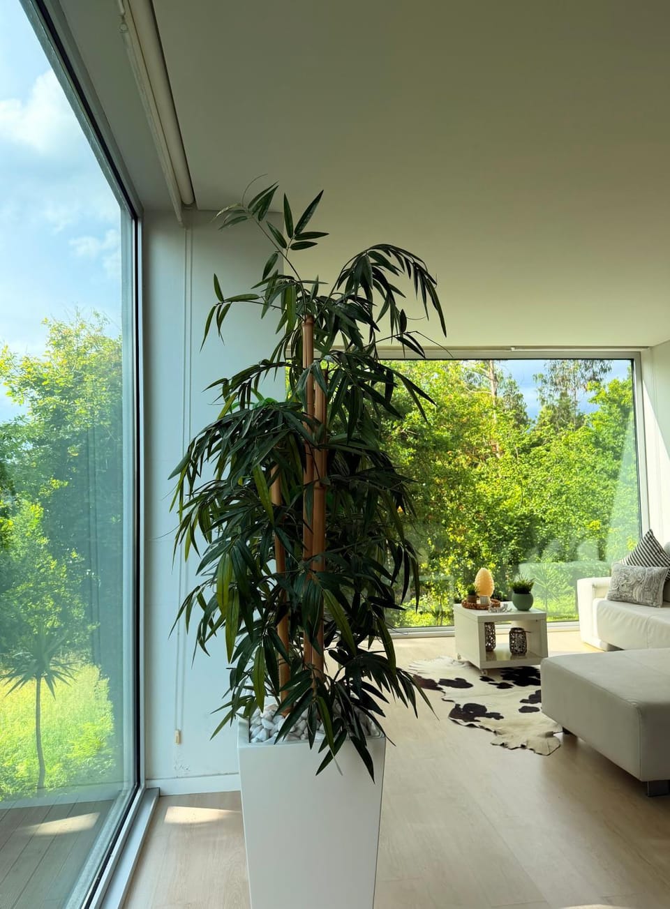 Spring, Day, Garden, Living room, Seating area, Garden view
