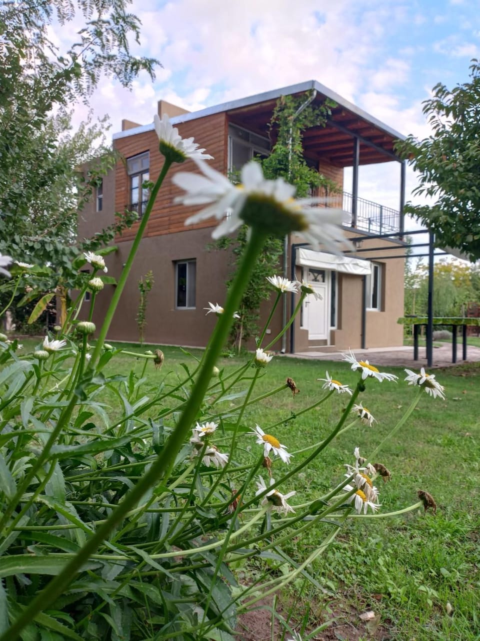 Chacras casa Armonia House in Luján de Cuyo