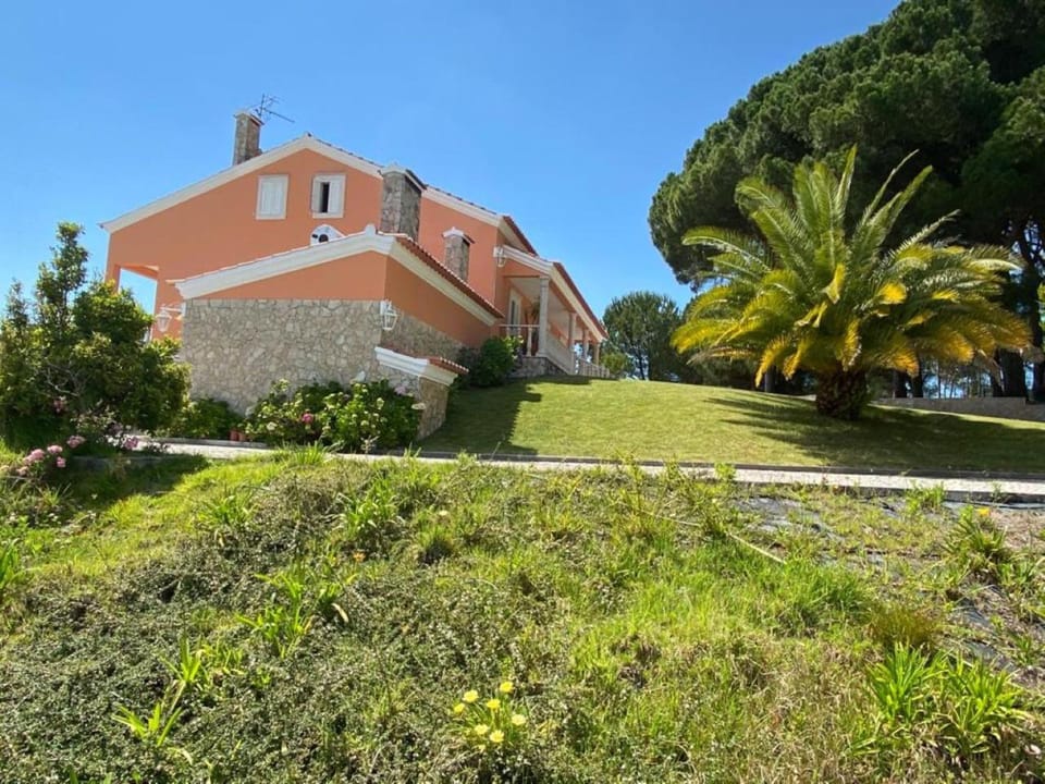 Garden, Garden view