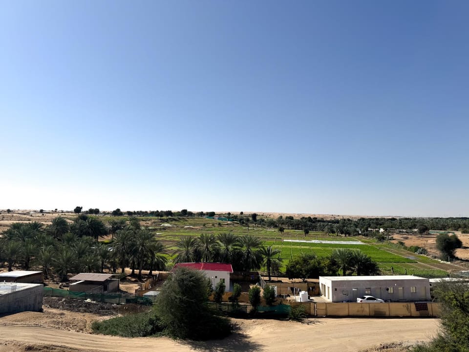 Day, Neighbourhood, Natural landscape