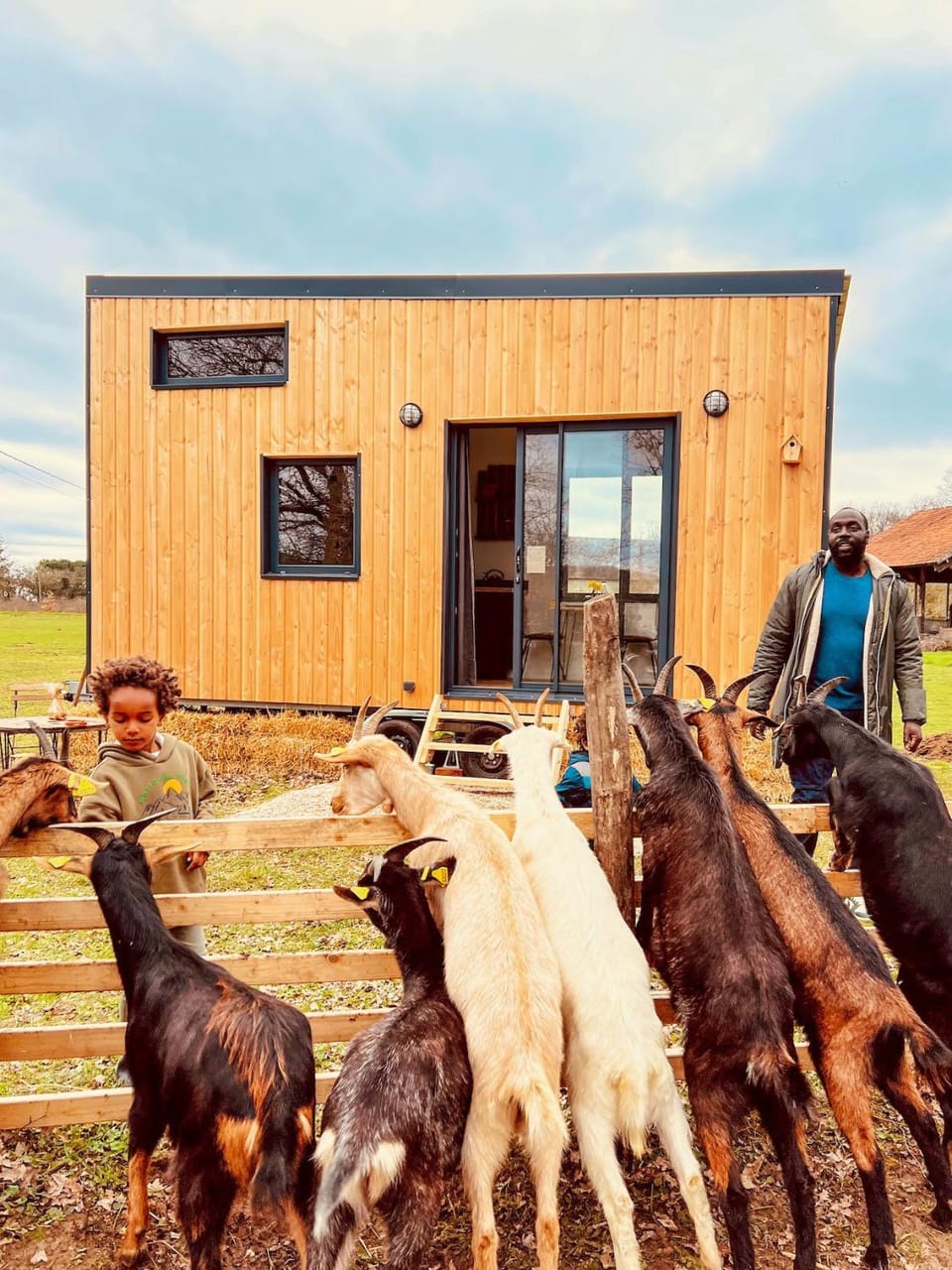 Day, View (from property/room), Animals, Pets