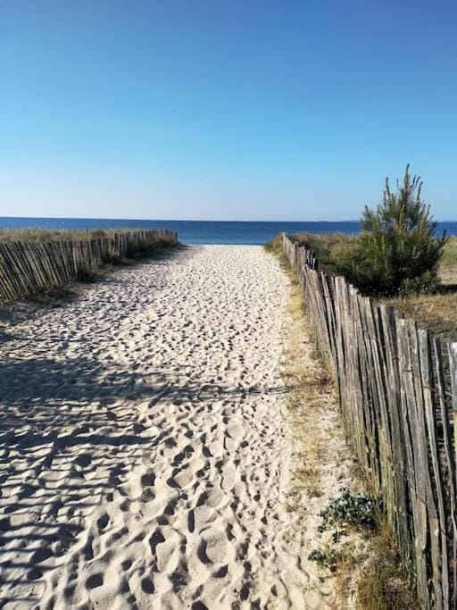 Day, Natural landscape, Beach