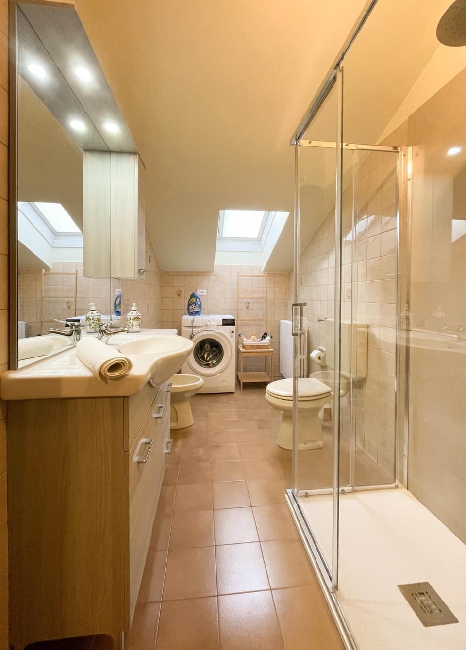 Shower, Toilet, towels, washing machine