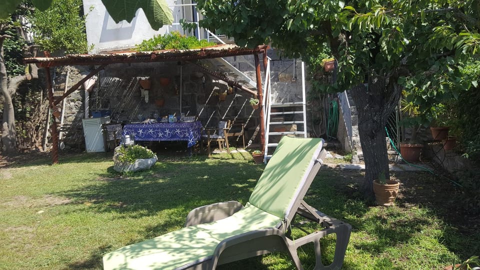Patio, Garden, Garden view, sunbed