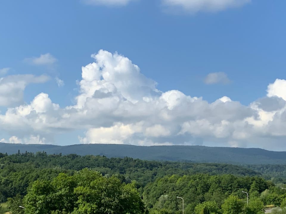 Гостьовий двір РіОНІ Bed and Breakfast in Lviv Oblast