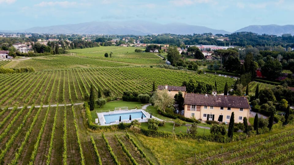 Anna Farmhouse at Wine Resort Apartment in Capannori