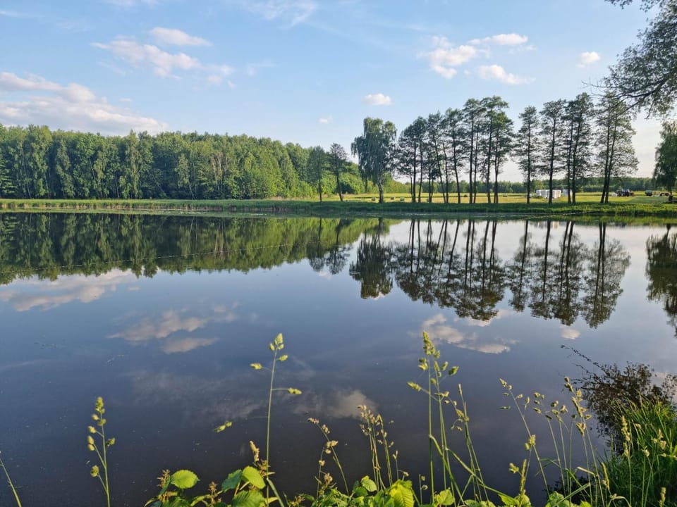 Spring, Natural landscape, River view