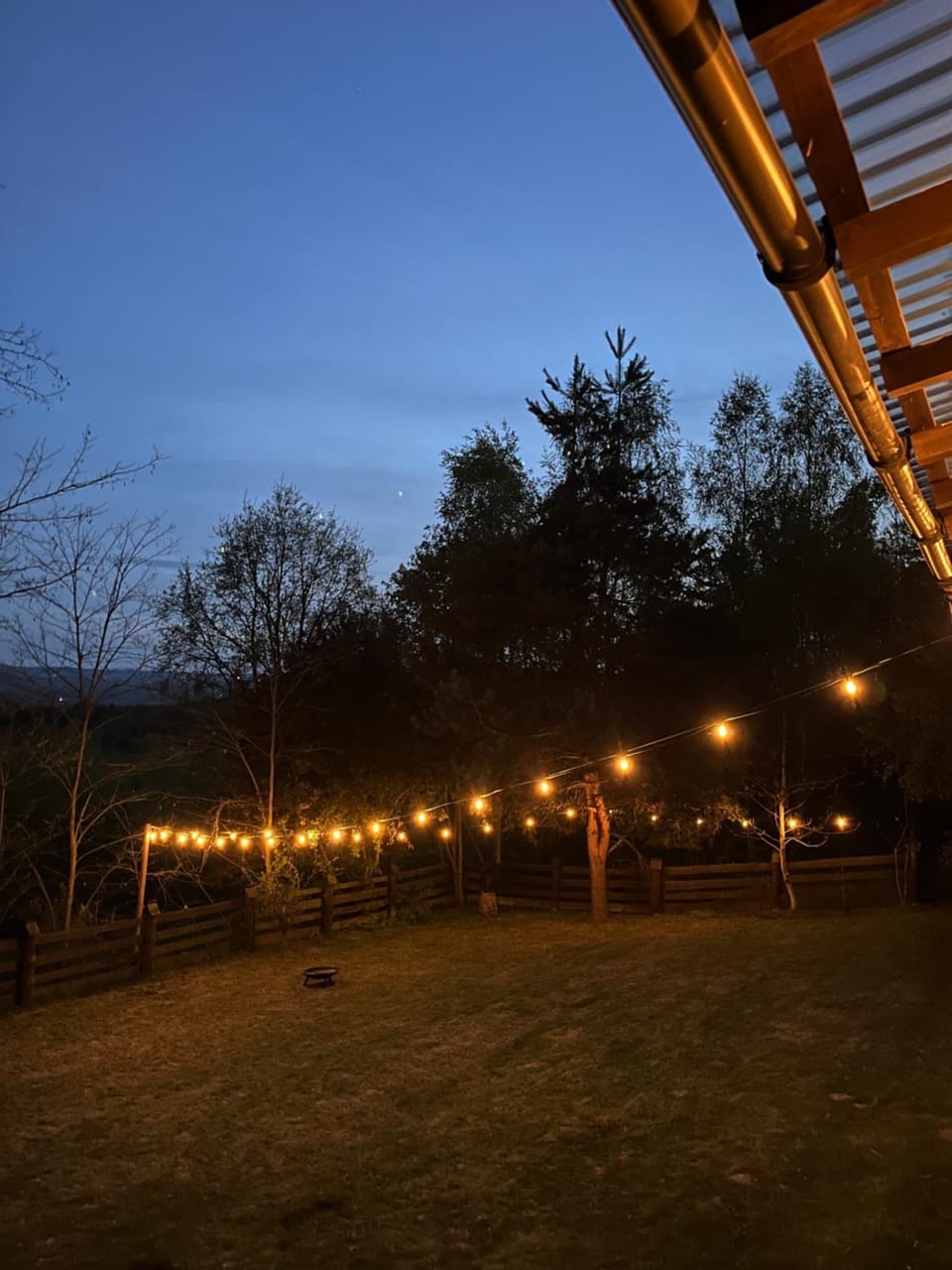 Night, Garden, Garden view