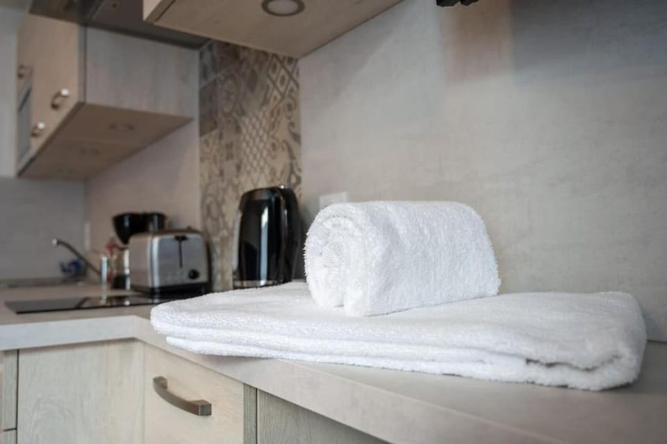 Studio Grammont 3 Apartment in Tours