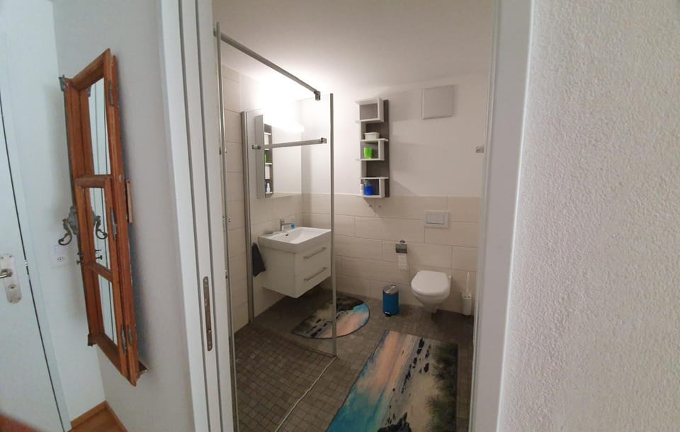 Shower, Toilet