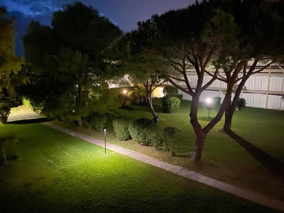 Night, Garden
