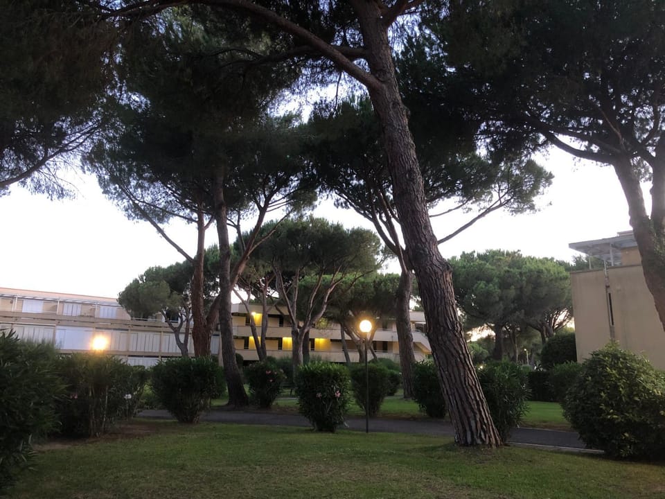 Property building, Garden, Garden view