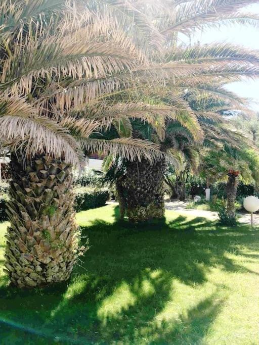Coquet appartement proche mer - garage Apartment in Occitanie