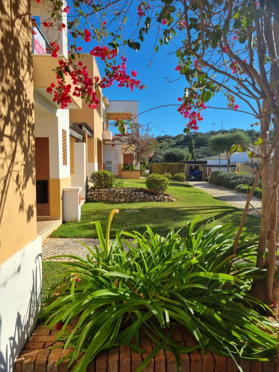 Paraiso vale da ribeira Apartment in Mexilhoeira Grande