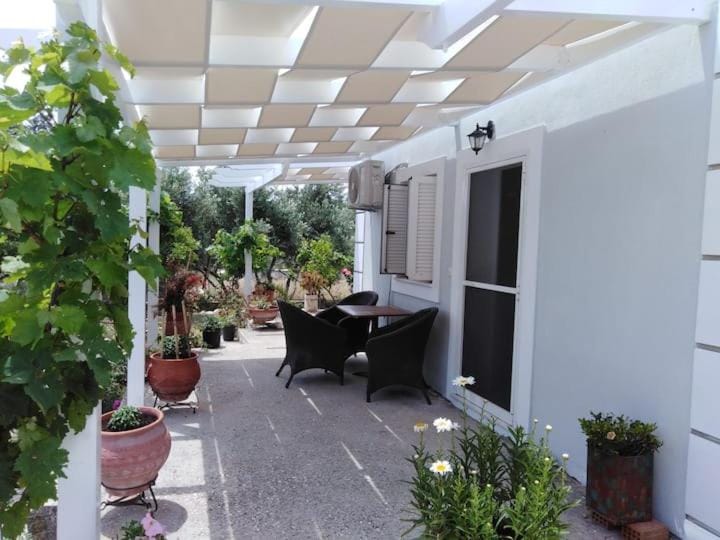 Patio, Garden view