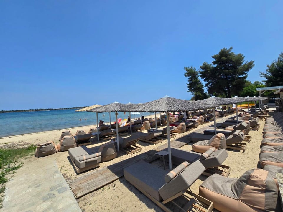 Villa Dimitrios(2 independent apartments 200sq m) House in Halkidiki