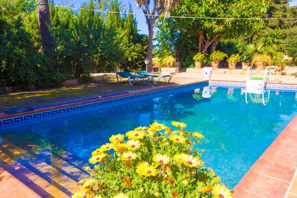 Pool view, Swimming pool